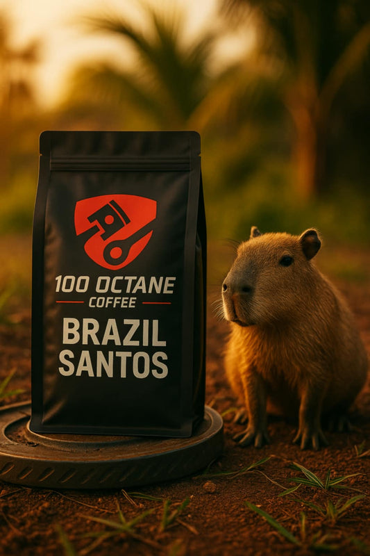 Brazil Santos